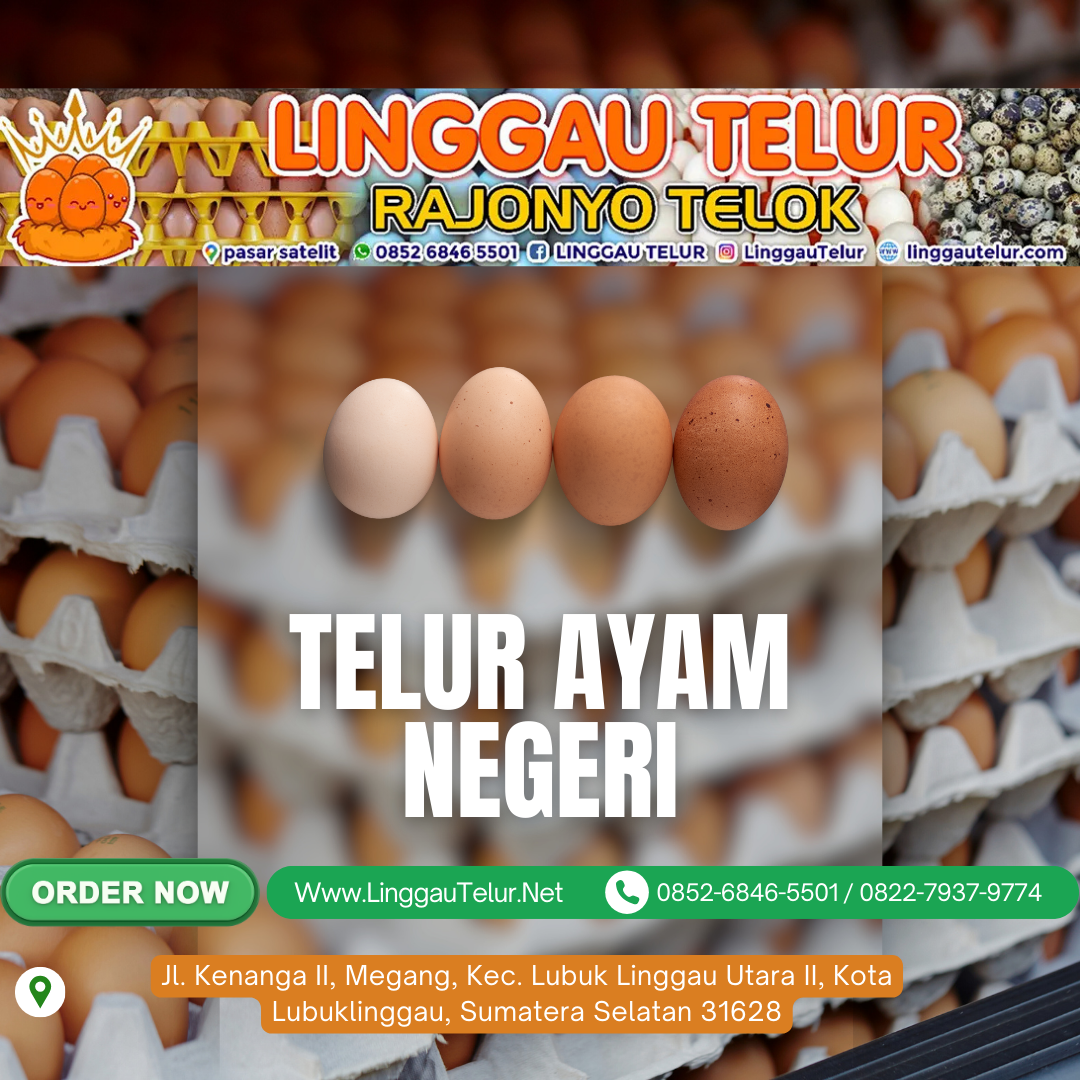 Telur Ayam Negeri - Image 2