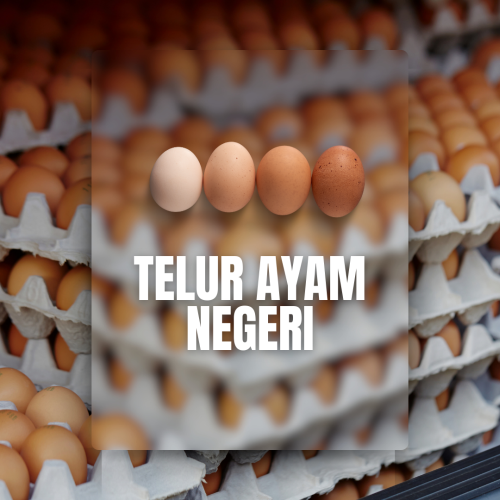 Telur Ayam Negeri